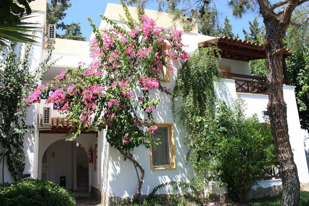 Toloman Bitezpark Apartments Bodrum Esterno foto